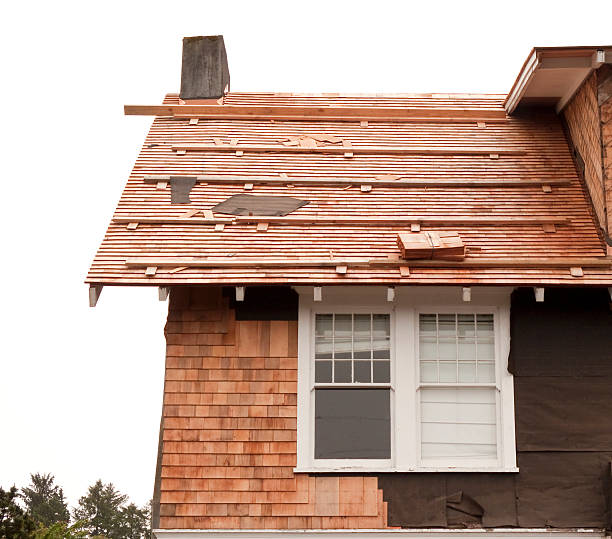 Best Siding Painting and Refinishing  in Waterbury, CT